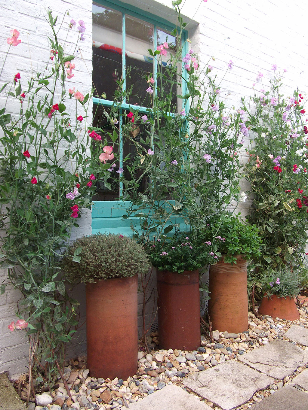 C.A.R. Gardens Design, Landscape & Maintain On The Isle Of Wight