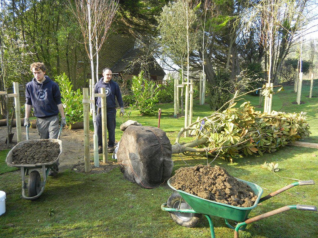 C.A.R. Gardens Design, Landscape & Maintain On The Isle Of Wight