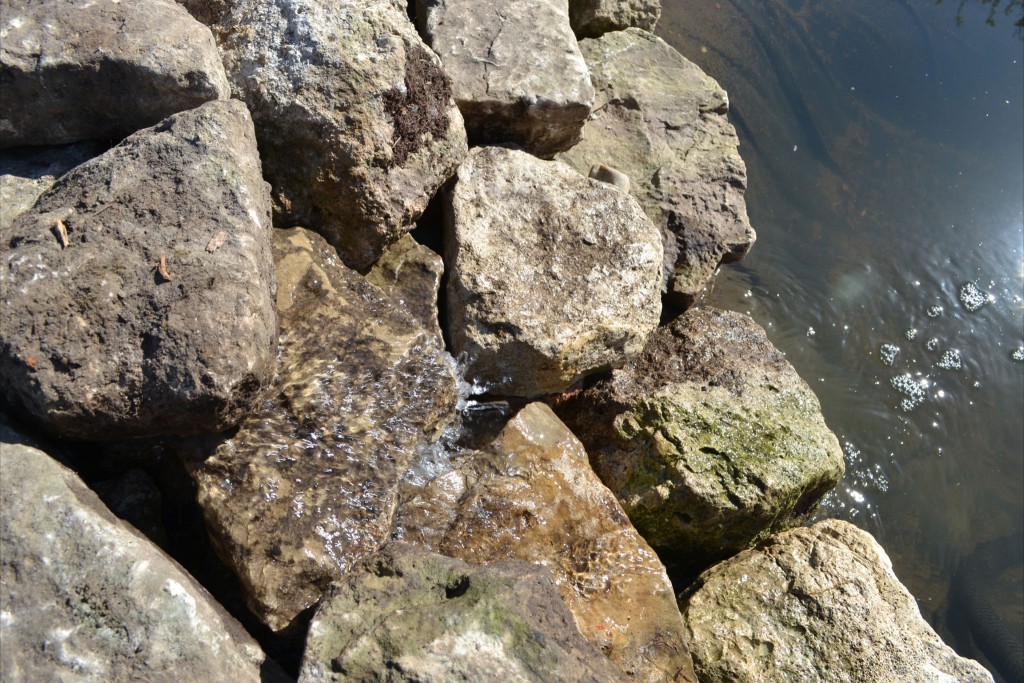 C.A.R. Gardens Design, Landscape & Maintain On The Isle Of Wight