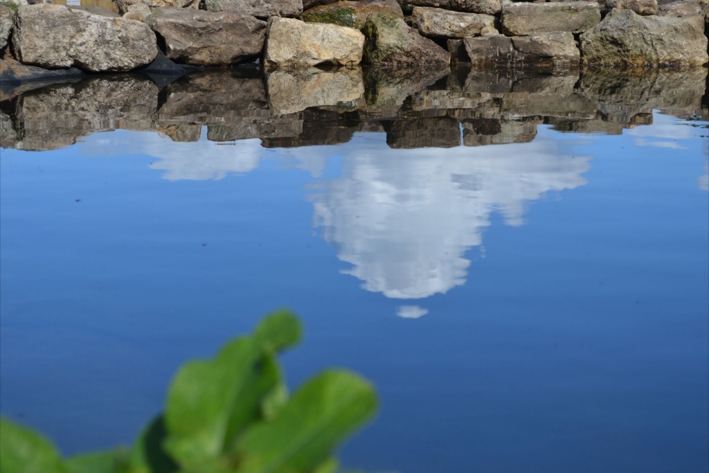 C.A.R. Gardens Design, Landscape & Maintain On The Isle Of Wight