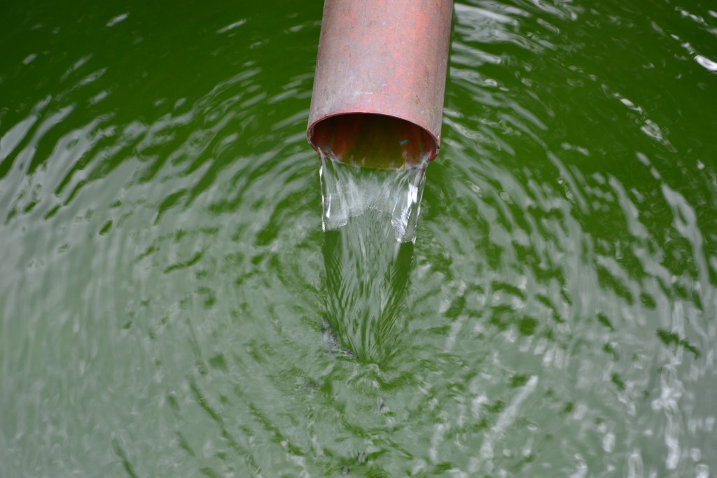 C.A.R. Gardens Design, Landscape & Maintain On The Isle Of Wight