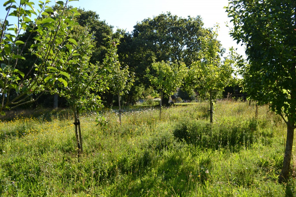 C.A.R. Gardens Design, Landscape & Maintain On The Isle Of Wight